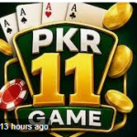 this is official image of 11pkr game for the users of pakistan
