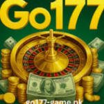 this is official image of GO177 GAME for the users of pakistan