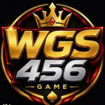 WGS456 GAME
